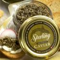 Growing Caviar The Sustainable Way, Finally!!  